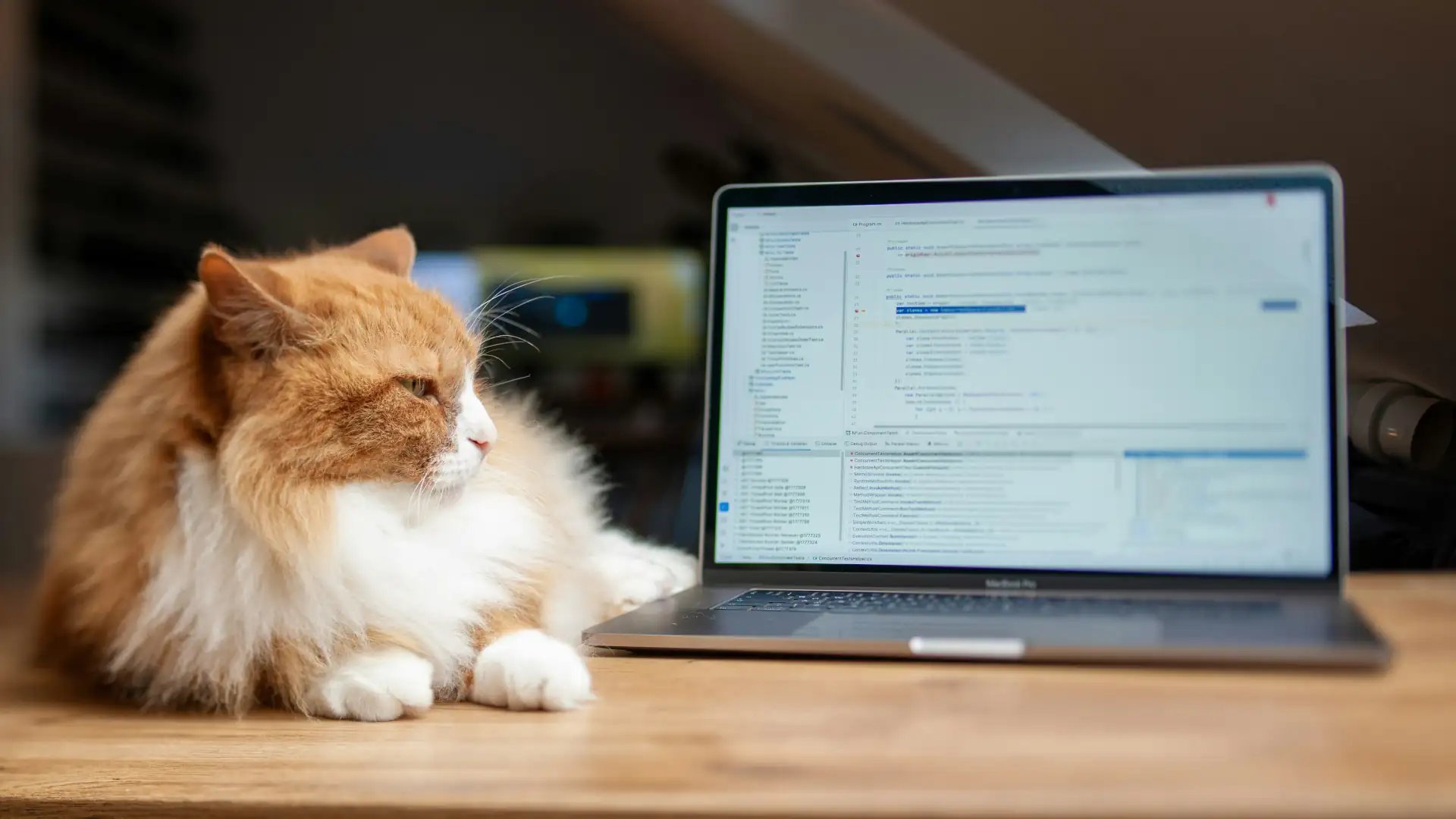 AI-search-keywords-vs-entities