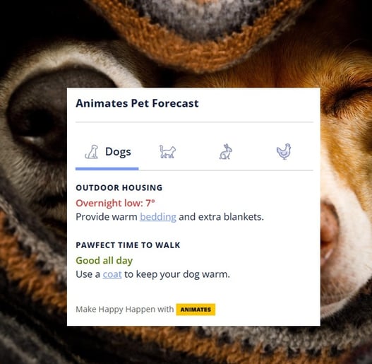 Metservice - Animates