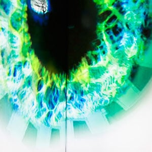 eye