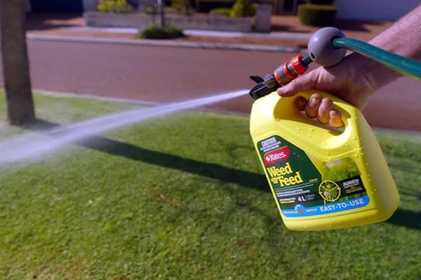 wnf-spraying